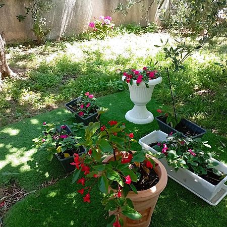 Apartmani Trubi 3 Водице Экстерьер фото