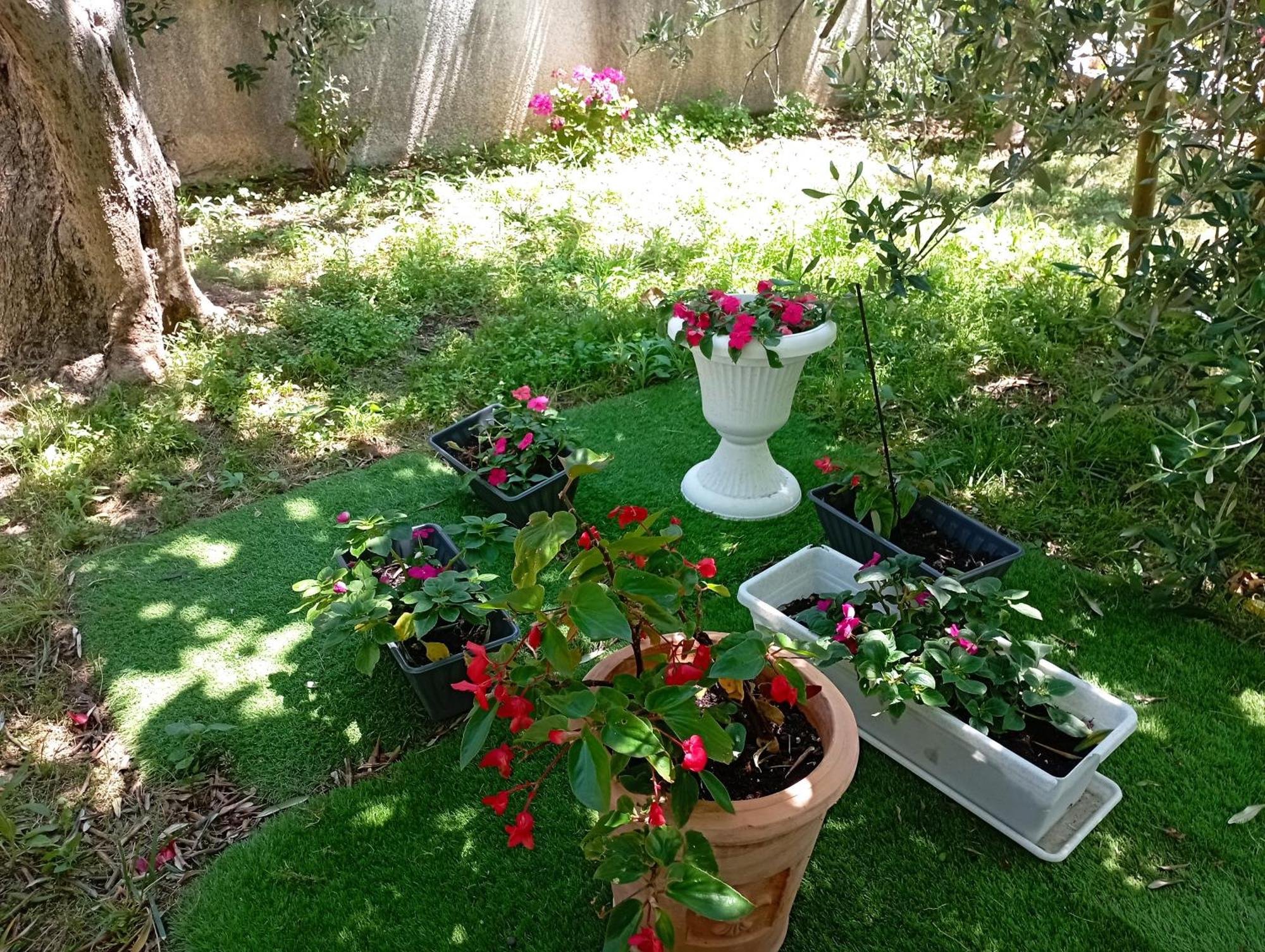 Apartmani Trubi 3 Водице Экстерьер фото
